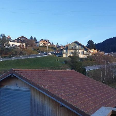 Le Martin Pecheur - Appartement Gérardmer Buitenkant foto