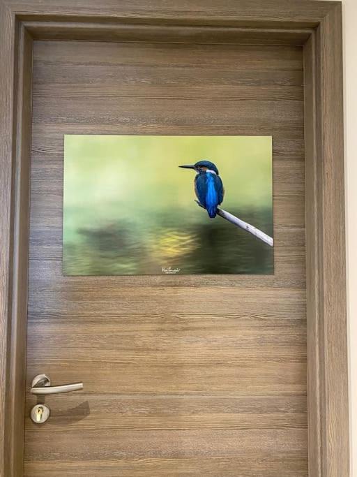 Le Martin Pecheur - Appartement Gérardmer Buitenkant foto